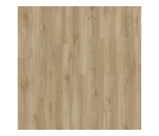 Layred 55 Impressive | Sierra Oak 58847 | Kunststoff Platten | IVC Commercial