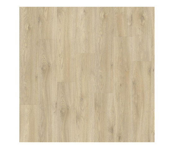 Layred 55 Impressive | Sierra Oak 58268 | Planchas de plástico | IVC Commercial