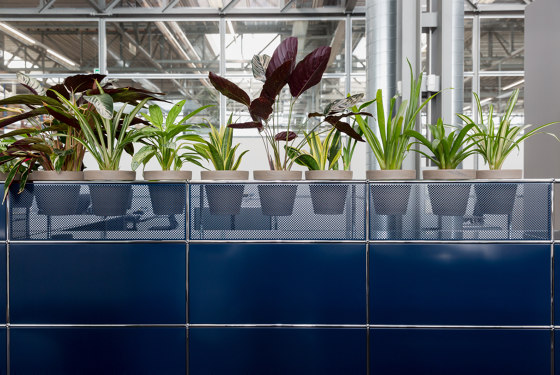 USM Haller Reception with Protection Screen and World of Plants | Steel Blue | Maceteros | USM