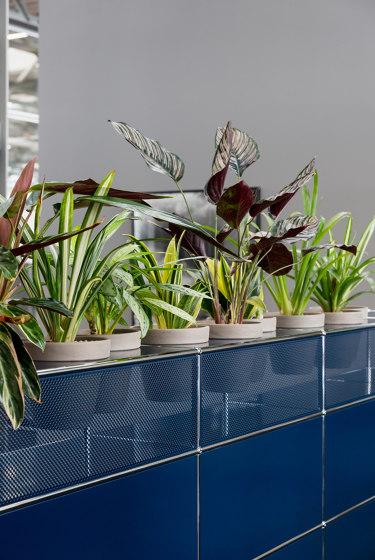 USM Haller Reception with Protection Screen and World of Plants | Steel Blue | Pots de fleurs | USM