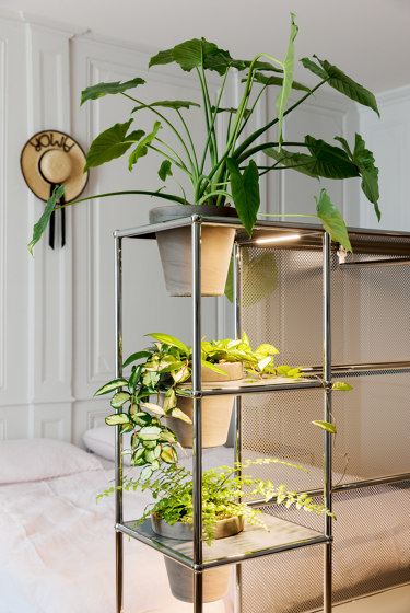USM Haller Wardrobe with World of Plants | Mid-gray | Cabinets | USM