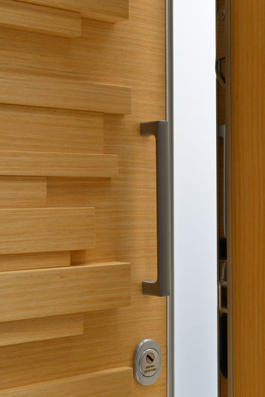 Sapa Door With One Of Natural Wood Veneer (Walnut, Teak, Oak, Whitened Oak), Lacquer (Anthracite, Grey, White) | Puertas de las casas | Mikodam