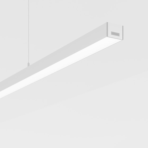 Purelite Slim D | Lámparas de suspensión | Regent Lighting