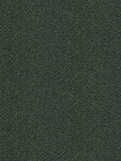 Apollon MD414A16 | Tejidos tapicerías | Backhausen