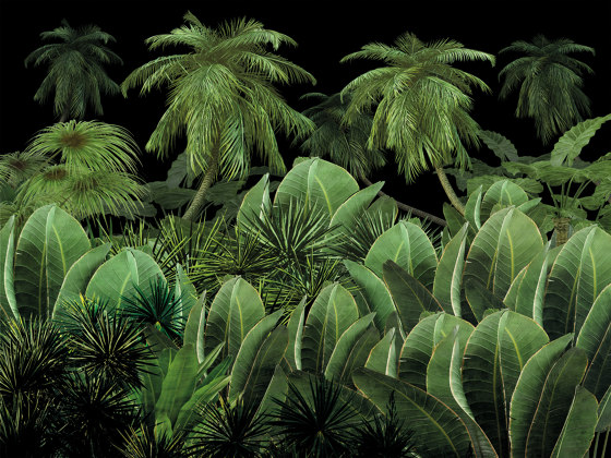 Scent of silence | A night in the jungle | Wall coverings / wallpapers | Walls beyond
