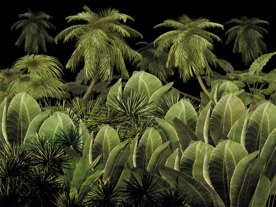 Scent of silence | A night in the jungle_warmer | Wall coverings / wallpapers | Walls beyond