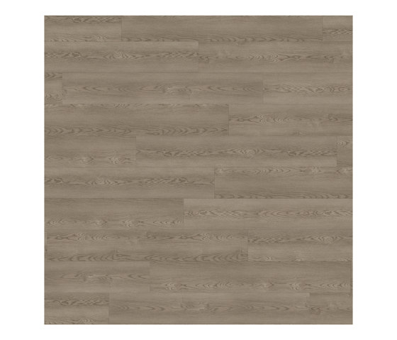 Form Woods - 0,7 mm I Barrel Oak Grey | Baldosas de plástico | Amtico
