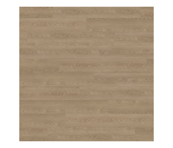 Form Woods - 0,7 mm I Barrel Oak Smoke | Synthetic tiles | Amtico
