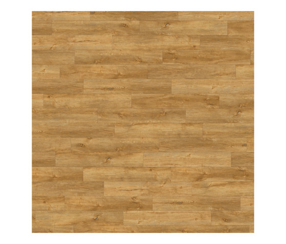 Form Woods - 0,7 mm I Rural Oak | Synthetic tiles | Amtico