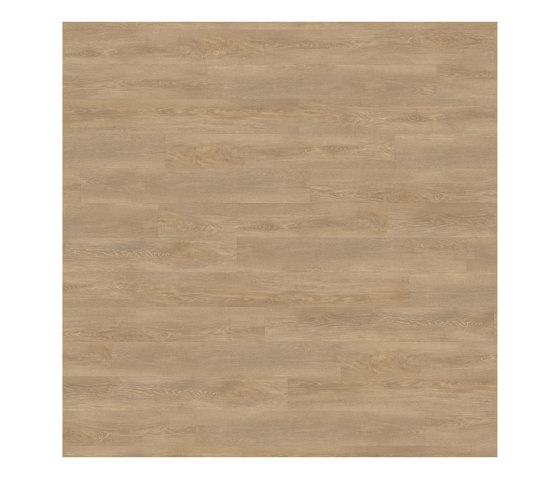 Form Woods - 0,7 mm I Fawn Oak | Synthetic tiles | Amtico