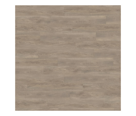 Form Woods - 0,7 mm I Bergen Oak | Synthetic tiles | Amtico