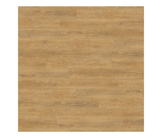Form Woods - 0,7 mm I Boardwalk Oak | Synthetic tiles | Amtico