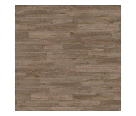 Form Woods - 0,7 mm I Native Grey Wood | Synthetic tiles | Amtico