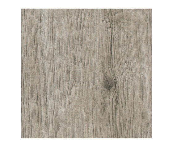 Chêne Hallberg | Panneaux de bois | Pfleiderer