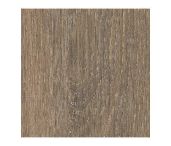Rovere Italiano | Pannelli legno | Pfleiderer