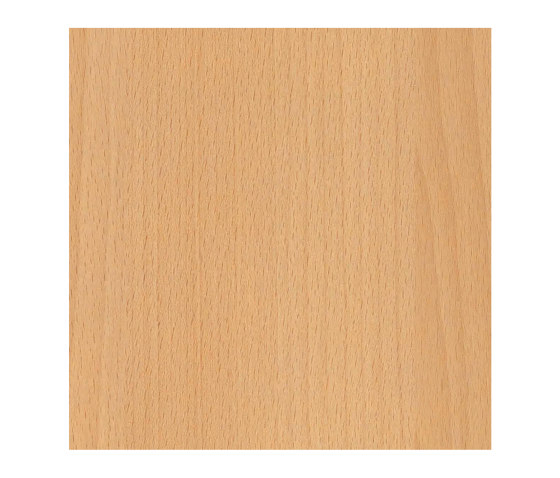 Altmuehl Beech | Wood panels | Pfleiderer