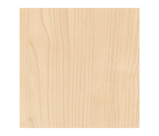 Black Forest Light Maple | Wood panels | Pfleiderer