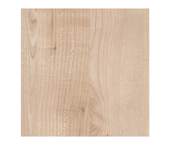Norway Maple | Wood panels | Pfleiderer