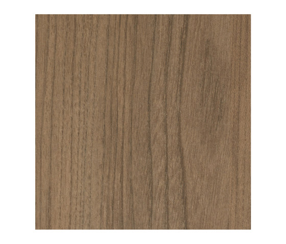 Salisbury Elm Grey | Wood panels | Pfleiderer