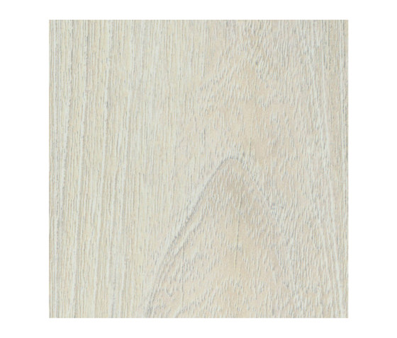 Acacia Blanc Brossé | Panneaux de bois | Pfleiderer