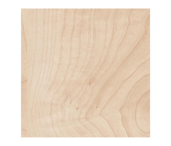 Wildbirne ahornfar. | Holz Platten | Pfleiderer