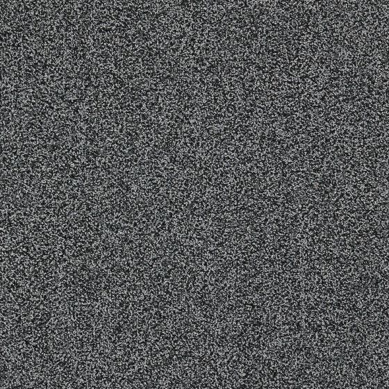 Dolomite 4292003 Obsidian | Teppichfliesen | Interface