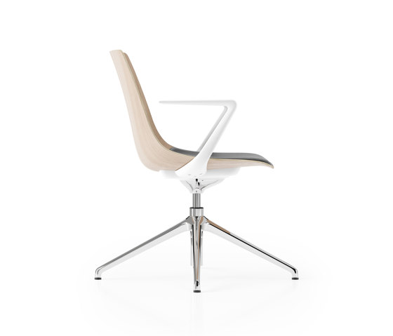 Ola 4 Star with Z Arms | Chaises | Boss Design
