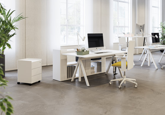 Slide height-adjustable desk | Bureaux | RENZ