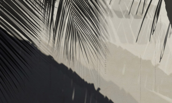 concrete | palm shadow | Wandbilder / Kunst | N.O.W. Edizioni
