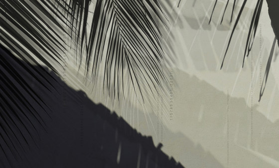 concrete | palm shadow | Peintures murales / art | N.O.W. Edizioni