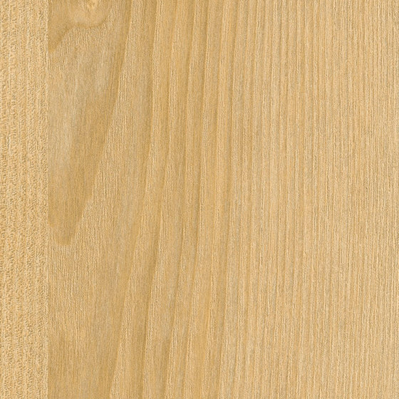 3M™ DI-NOC™ Architectural Finish Dry Wood, DW-1894MT, 1220 mm x 50 m | Láminas de plástico | 3M