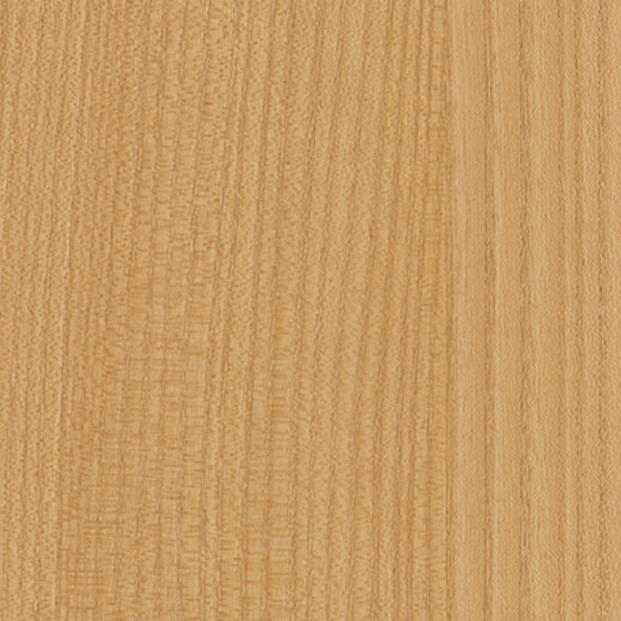 3M™ DI-NOC™ Architectural Finish Fine Wood, Exterior, FW-1214 EX, 1220 mm x 50 m | Fogli di plastica | 3M