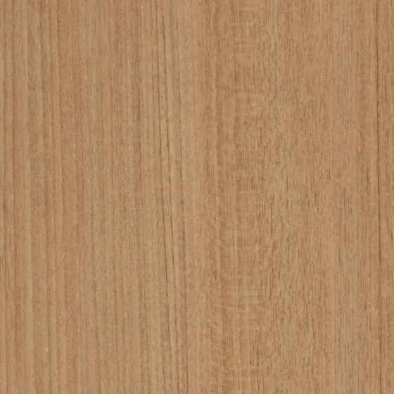 3M™ DI-NOC™ Architectural Finish Fine Wood, FW-1272, 1220 mm x 50 m | Fogli di plastica | 3M
