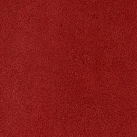 3M™ DI-NOC™ Architectural Finish Leather, LE-2782, 1220 mm x 50 m | Synthetic films | 3M