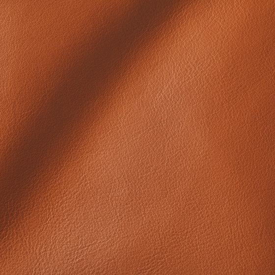 CITY Caramel | Natural leather | Studioart