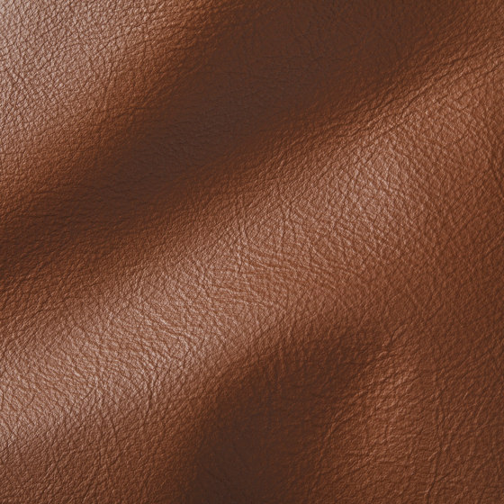 CITY DK Brown | Natural leather | Studioart
