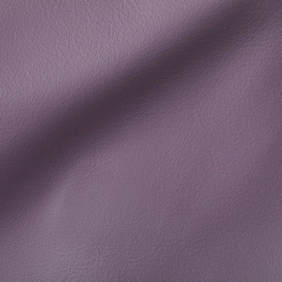 CITY Violette | Natural leather | Studioart