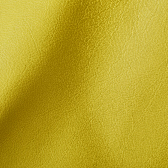 CITY Yellow | Natural leather | Studioart