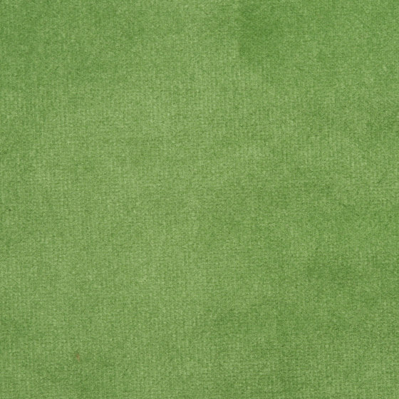 Green - Smooth Velvet | Upholstery fabrics | The Fabulous Group