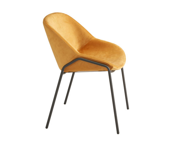 Nova Chair | Sillas | Riflessi