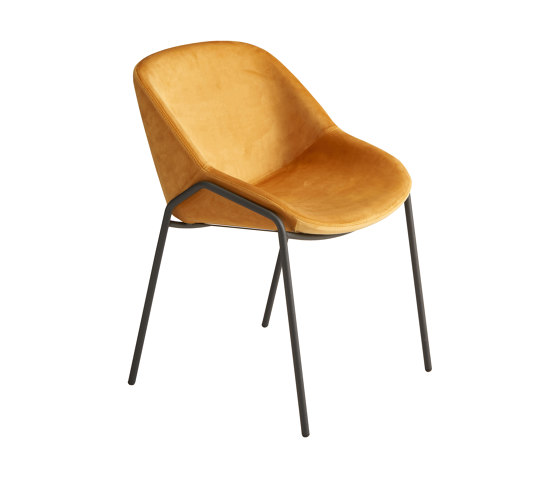 Nova Chair | Chairs | Riflessi