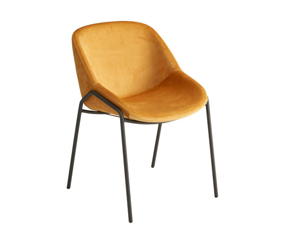Nova Chair | Chairs | Riflessi