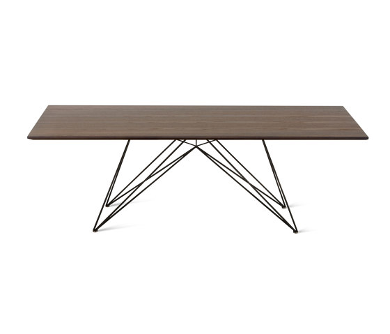Pegaso Wooden Top Table Th. 30 Mm | Mesas comedor | Riflessi