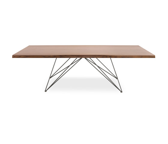 Pegaso Wooden Top Table Th.50Mm | Mesas comedor | Riflessi