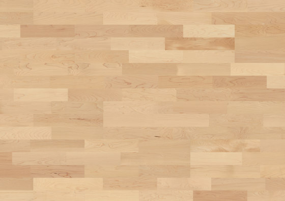Triopark Maple canadian 15 | Wood flooring | Bauwerk Parkett