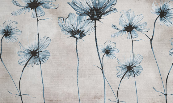 AP Contract | Digital Printed Wallpaper | Blue Daisy DD120515 | Wall coverings / wallpapers | Architects Paper