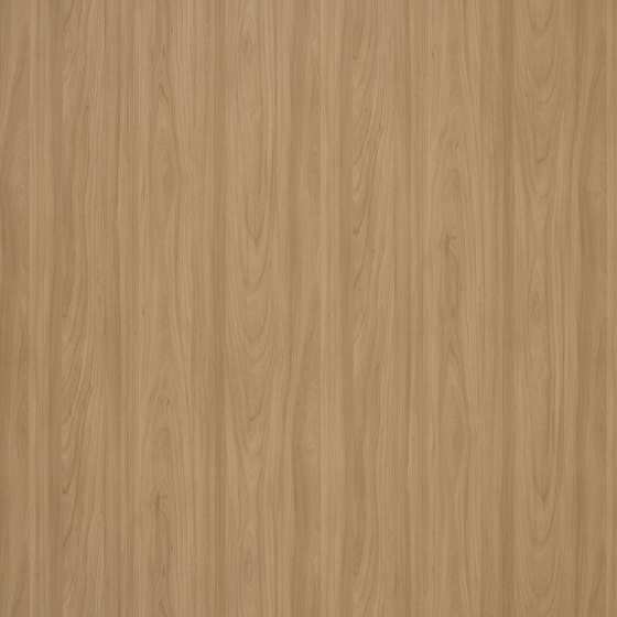 Altro Whiterock™ wall designs 2500x1220 Warm Woodgrain | Synthetic tiles | Altro