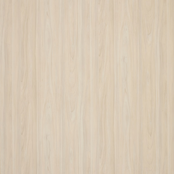 Altro Whiterock™ wall designs 3000x1220 Soft Woodgrain | Synthetic tiles | Altro