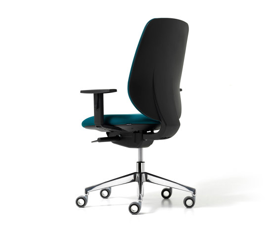 Skin - Task chairs | Office chairs | Diemme