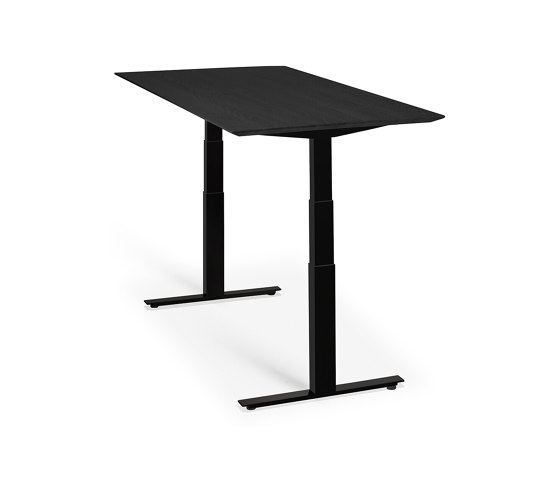 Bok | Oak black adjustable desk - table top - varnished | Tables collectivités | Ethnicraft